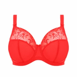 ELOMI Charley Plunge Bra Salsa -Fashion Lingerie Store CharleyPlungeBraSalsaEL4380p