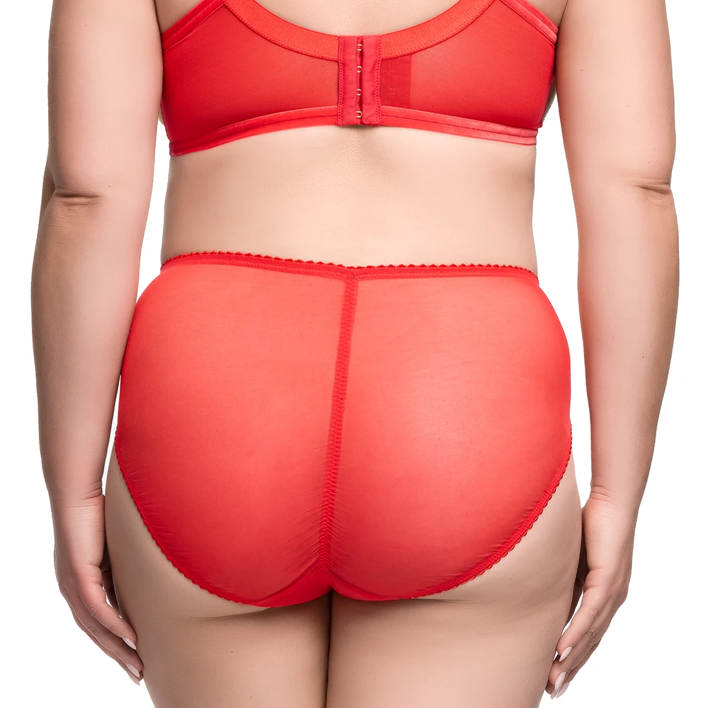 Rosewyn Hi Cut Brief Flame 4 Rosewyn Hi Cut Brief Flame - Image 2