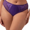 ELOMI Charley High Leg Brief Iris 2 ELOMI Charley High Leg Brief Iris -Fashion Lingerie Store ElomiCharleyHighLegBriefEL4386Iris1
