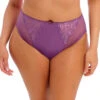 ELOMI Charley High Leg Brief Pansy 1 ELOMI Charley High Leg Brief Pansy -Fashion Lingerie Store ElomiCharleyHighLegBriefEL4386Pansy