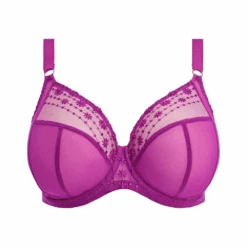 ELOMI Matilda Underwire Plunge Bra Hollyhock 11 ELOMI Matilda Underwire Plunge Bra Hollyhock -Fashion Lingerie Store ElomiMatildaUnderwirePlungeBraEL8900Hollyhock 1
