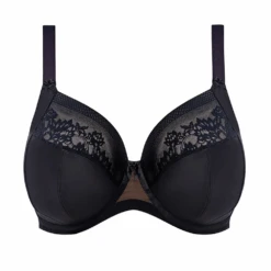 ELOMI Nerina Plunge Bra - Stretch Black 9 ELOMI Nerina Plunge Bra - Stretch Black -Fashion Lingerie Store ElomiNerinaBlackPlungeBra StretchEL302734Black 4