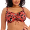 Elomi Swim Kotiya Underwired Bikini Top ES800906 Terracotta 1 Elomi Swim Kotiya Underwired Bikini Top ES800906 Terracotta -Fashion Lingerie Store ElomiSwimKotiyaUnderwiredBikiniTopES800906Terracotta