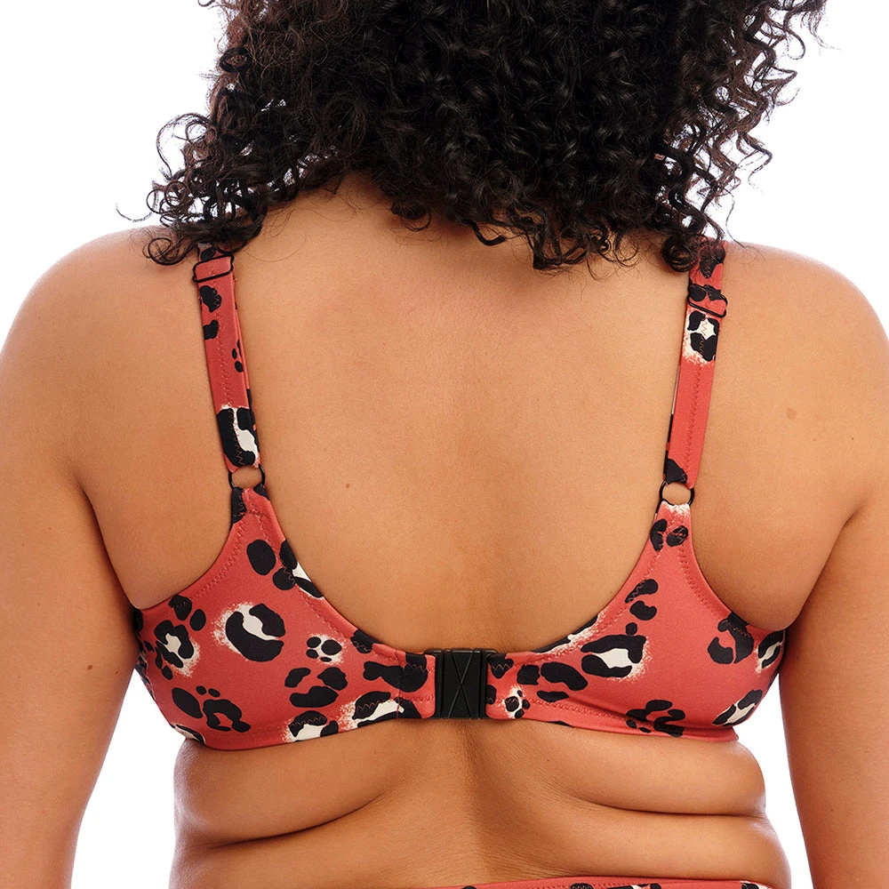 Elomi Swim Kotiya Underwired Bikini Top ES800906 Terracotta 4 Elomi Swim Kotiya Underwired Bikini Top ES800906 Terracotta - Image 2