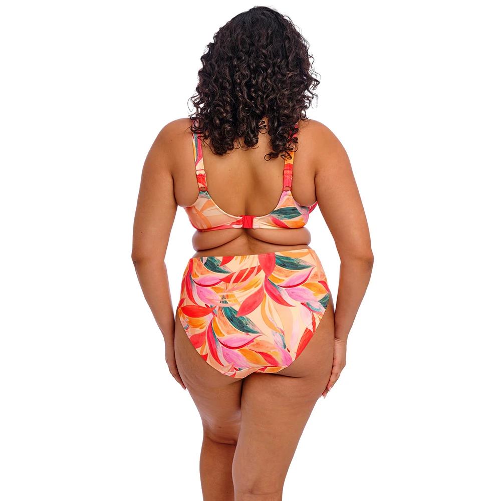 Sancho Beach Mid Rise Bikini Brief Mango 4 Sancho Beach Mid Rise Bikini Brief Mango - Image 2