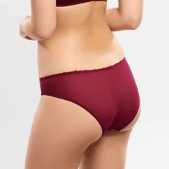 Fashion Lingerie Store -Fashion Lingerie Store EmpreinteAgatheBrief3204Amarante 3