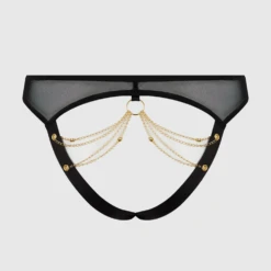 Eve Mesh & Chain Open Caged Back Hipster -Fashion Lingerie Store HouseofDesireEveMesh ChainOpenCagedBackHipster 1