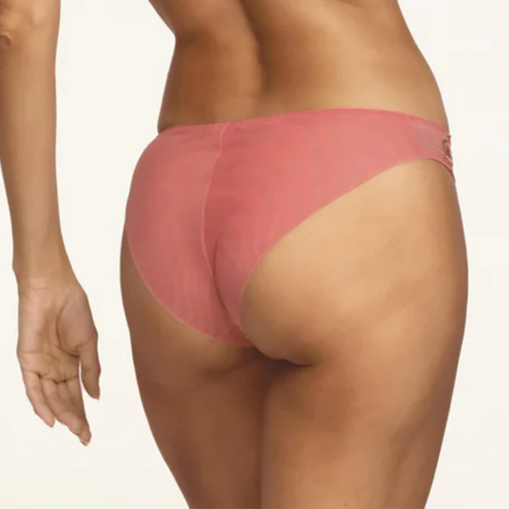 Brief In Rose 4 Brief In Rose - Image 2