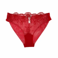 Italian Brief Red