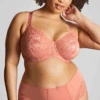 Dream Full Cup Rose 2 Dream Full Cup Rose -Fashion Lingerie Store SculptresseDreamFullCup10805Rose 2