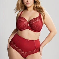 Estel High Waist Brief Raspberry -Fashion Lingerie Store SculptressebyPanacheEstelleFullCup9685Raspberryset ac601f8b 591a 4b6c b6d9 48a46ac91a38