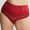 Estel High Waist Brief Raspberry 2 Estel High Waist Brief Raspberry -Fashion Lingerie Store SculptressebyPanacheEstelleHighWaistBrief9684Raspberryf