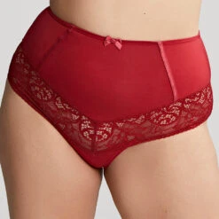 Estel High Waist Brief Raspberry