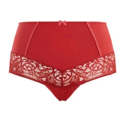 Estel High Waist Brief Raspberry -Fashion Lingerie Store SculptressebyPanacheEstelleHighWaistBrief9684Raspberryp