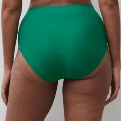 Chantelle SoftStretch One Size Full Brief Plus Fashion Colors 18 Chantelle SoftStretch One Size Full Brief Plus Fashion Colors -Fashion Lingerie Store SoftStretchOneSizeFullBriefPlus1137RacingGreen 1