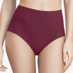 Chantelle SoftStretch Seamless Full Brief FW '25 Colors -Fashion Lingerie Store SoftStretchSeamlessFullBriefFW 25Colors2647Sienna 1