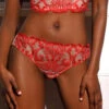 Spotlight Embroidered Brief 1 Spotlight Embroidered Brief -Fashion Lingerie Store TeamoreSpotlightEmbroideredBrief31014red